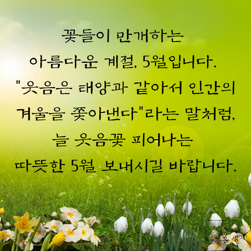 5월 인사말 문구 이미지 모음집 카톡 문자 메세지