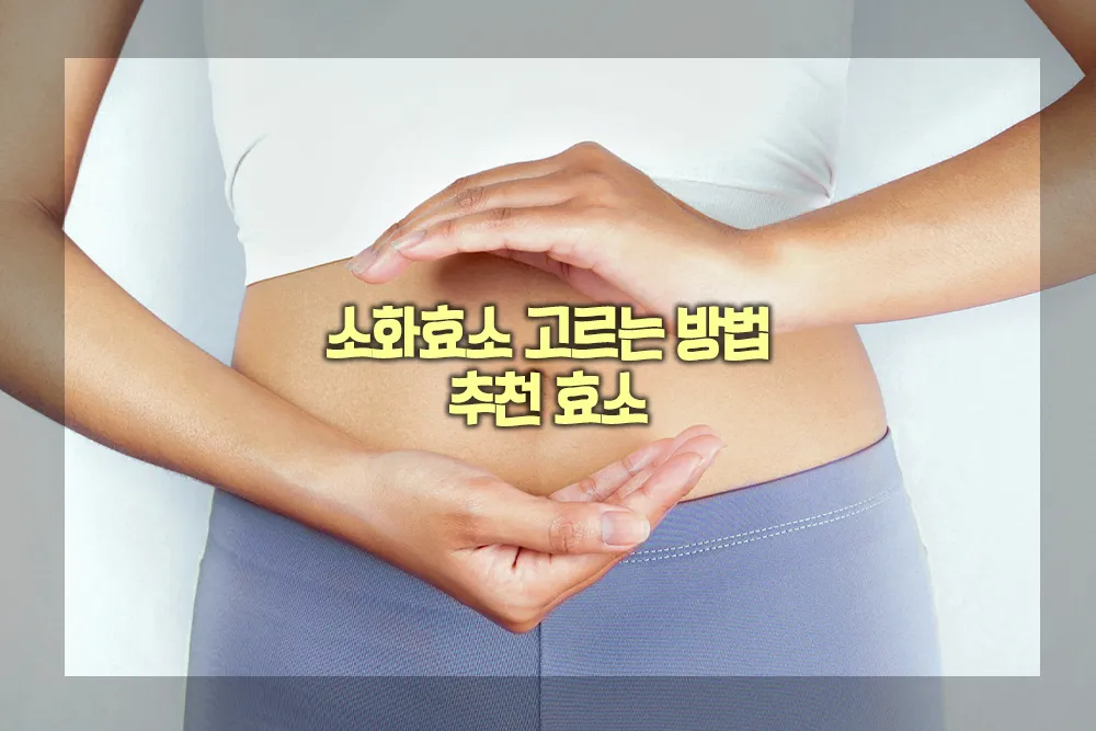 소화효소 고르는 방법 추천 효소