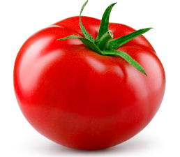 토마토