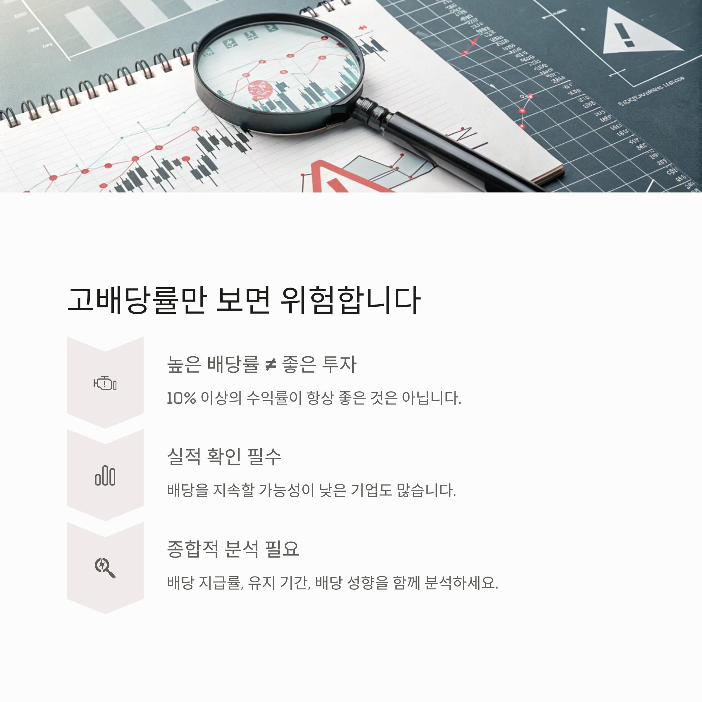 미국 배당주 투자 전략