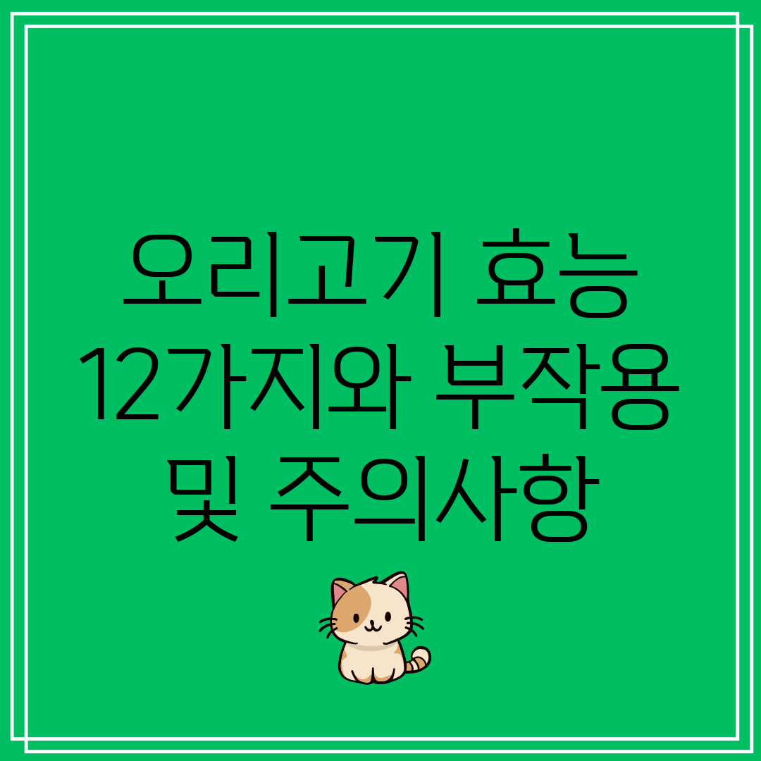 오리고기 효능 12가지와 부작용 및 주의사항