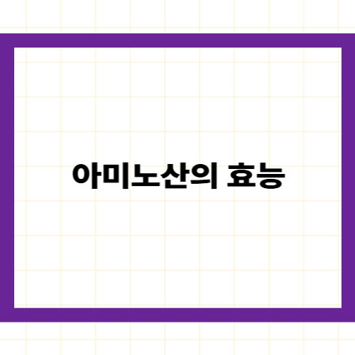 아미노산 효능 —
우리 몸의 기초 설계도, 왜 필수 아미노산인가?