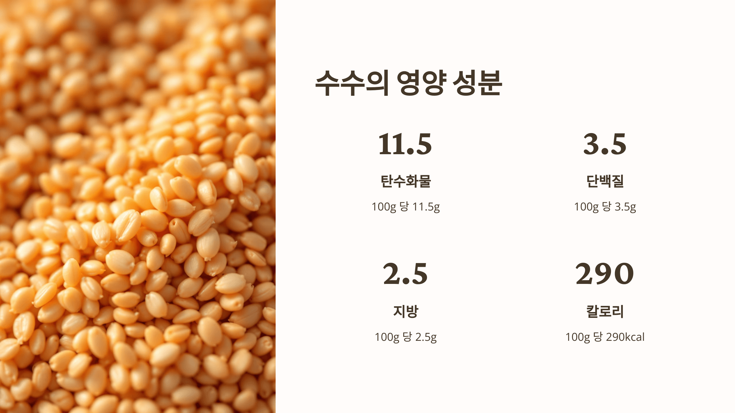 수수 사진입니다.