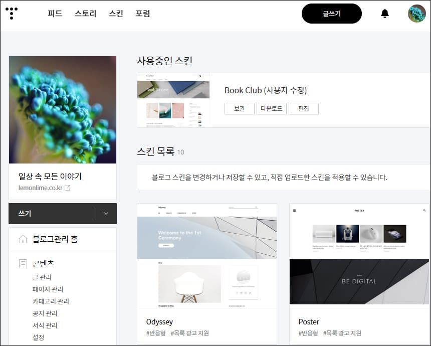사용중인 스킨