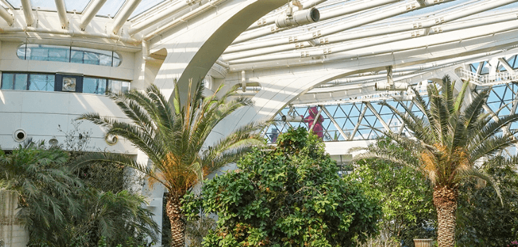 눈 오는 날 실내 여행지 겨울철 실내 명소 추천 서울 실내 여행지 추천 인천 실내 명소 대구 실내 명소 눈 오는 날 가볼 만한 장소 실내 활동 추천 겨울 여행지 추천 온천과 스파 추천 실내 관광지 추천 롯데월드 아쿠아리움 실내 명소 서울식물원 온실 겨울 여행 실내 관광지 파라다이스시티 씨메르 스파밸리 워터파크 겨울