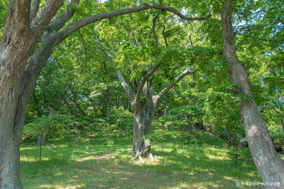 영광 가볼만한곳 베스트10