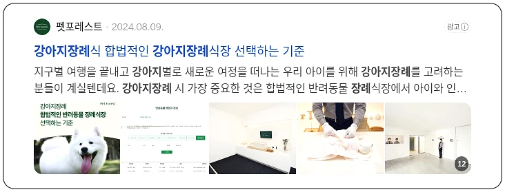 강아지 장례_2_subsection