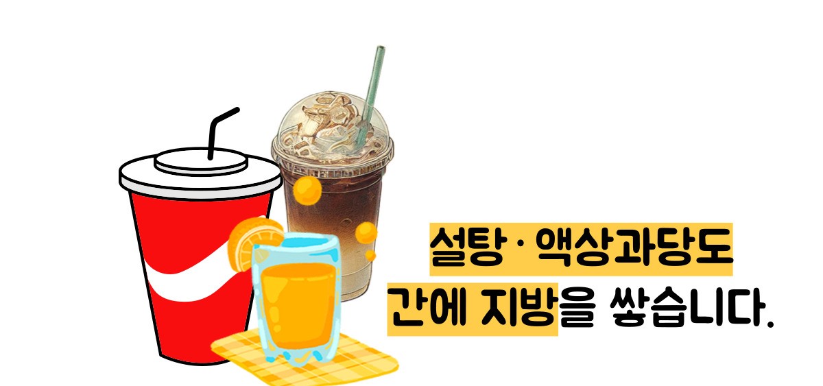 지방간 없애는 방법