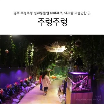 경주 실내 가볼만한곳 베스트 10을 정리_6
