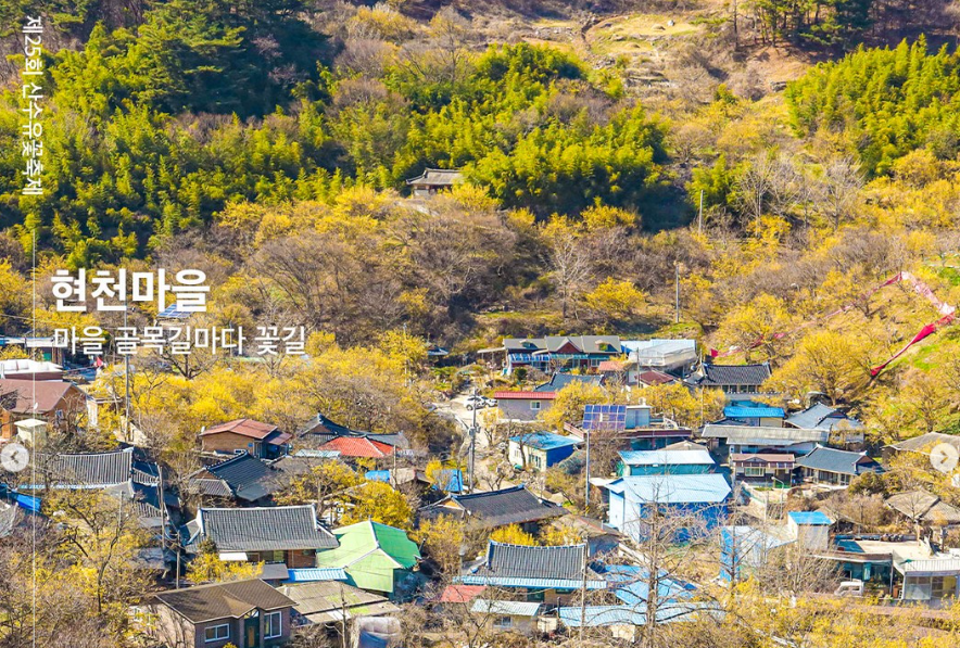 구례산수유꽃축제 기본정보