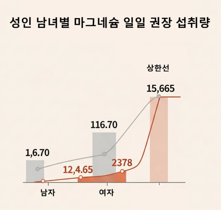 성인 남녀별 마그네슘 일일 권장 섭취량과 보충제 상한 섭취량을 시각적으로 보여주는 인포그래픽.