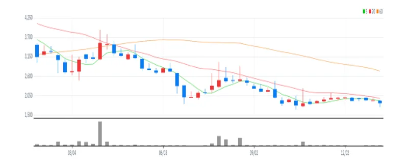 아이비김영 주봉