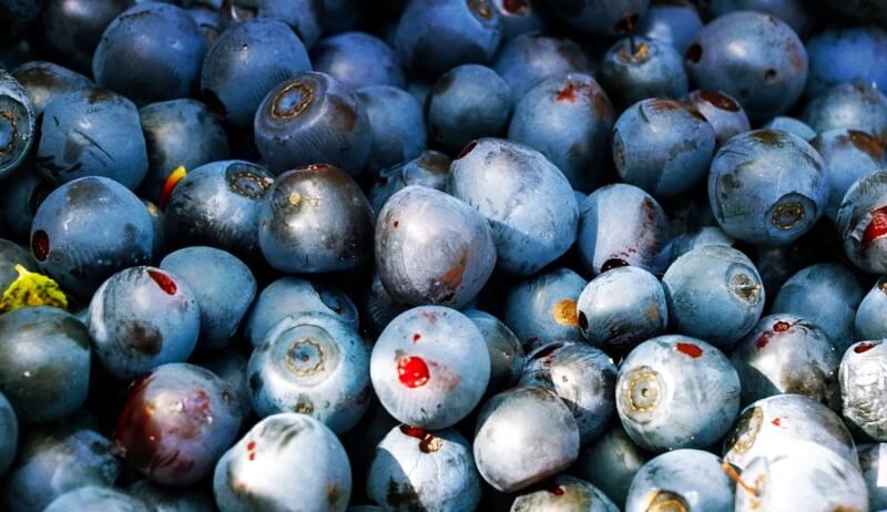 잘익은-블루베리