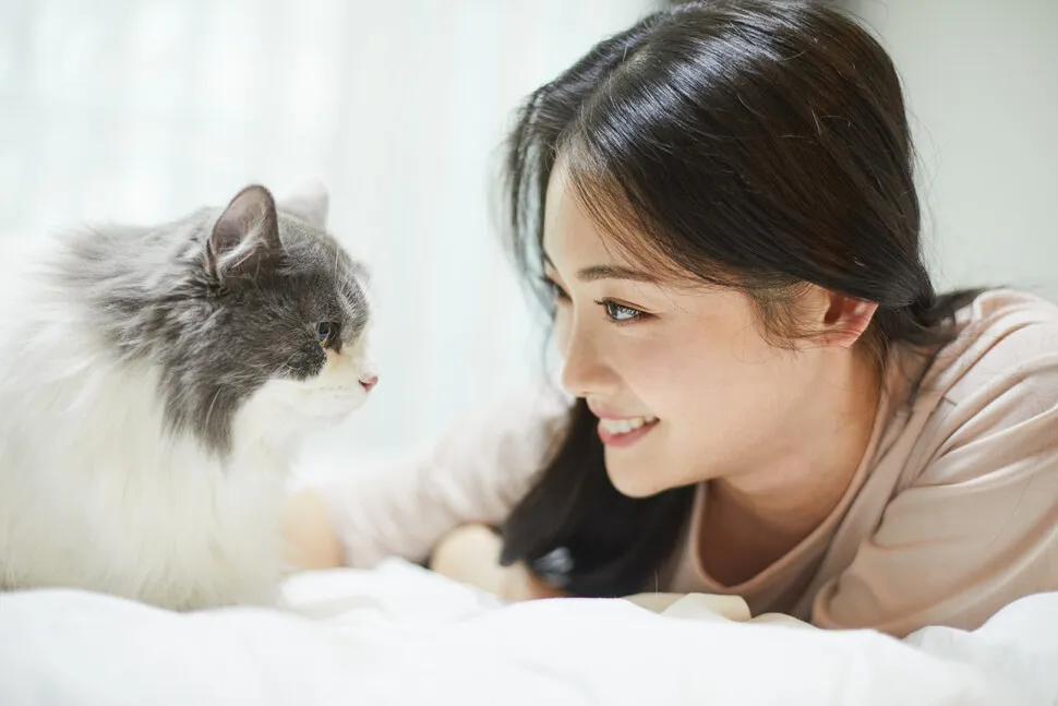 고양이가 집사를 사랑할때 하는 행동_2