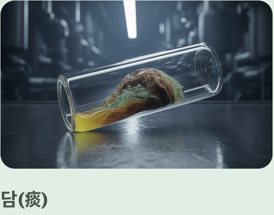 '담(痰)'을 없애는 강력한 거담제