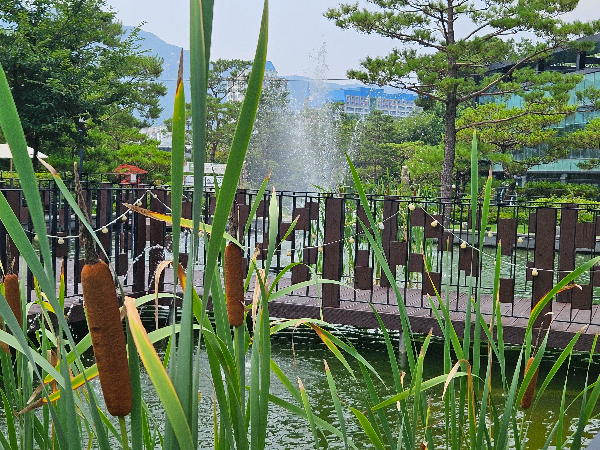 오크힐 호수
