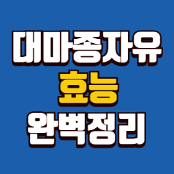대마종 자유 효능