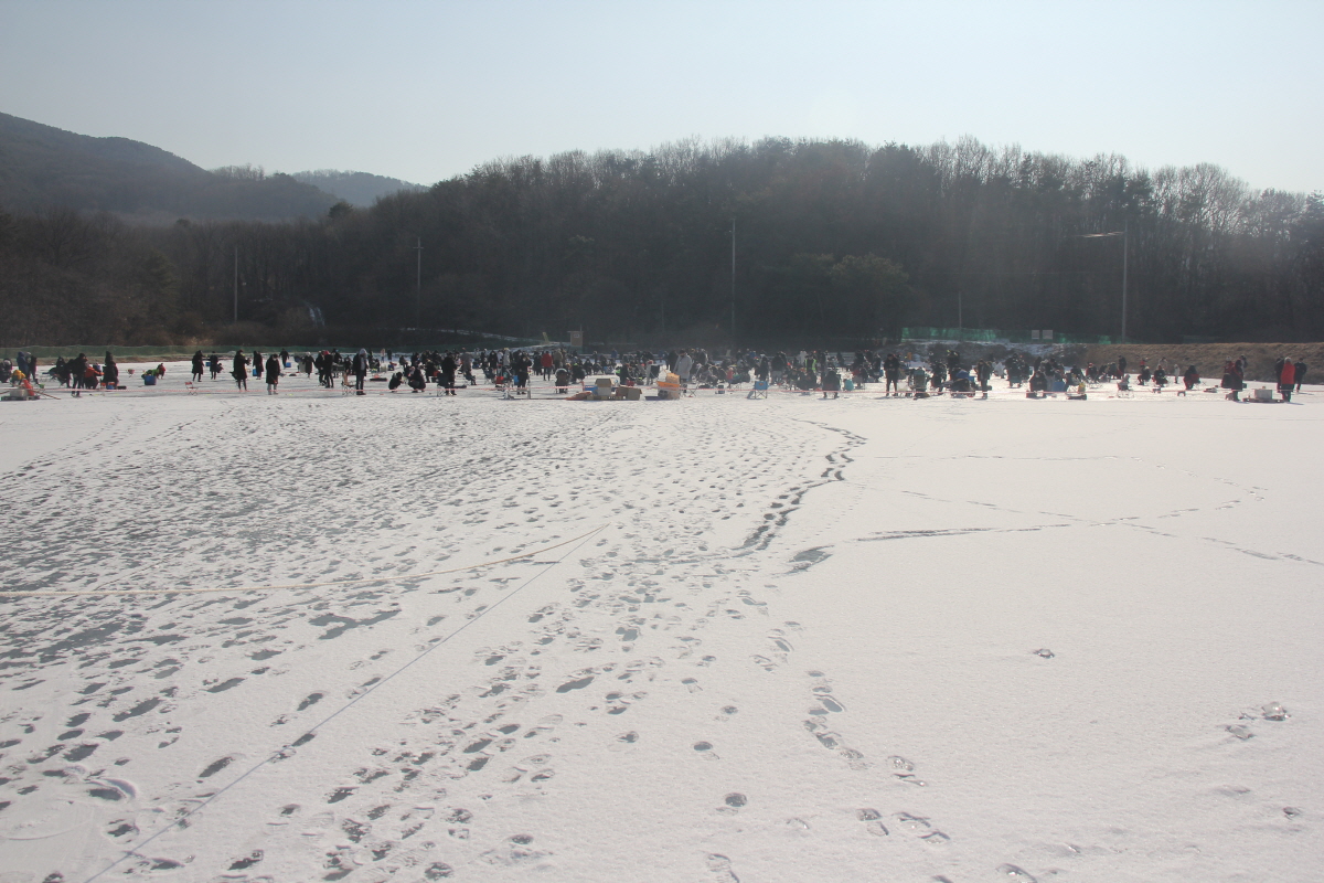 강화 신선지 빙어 축제