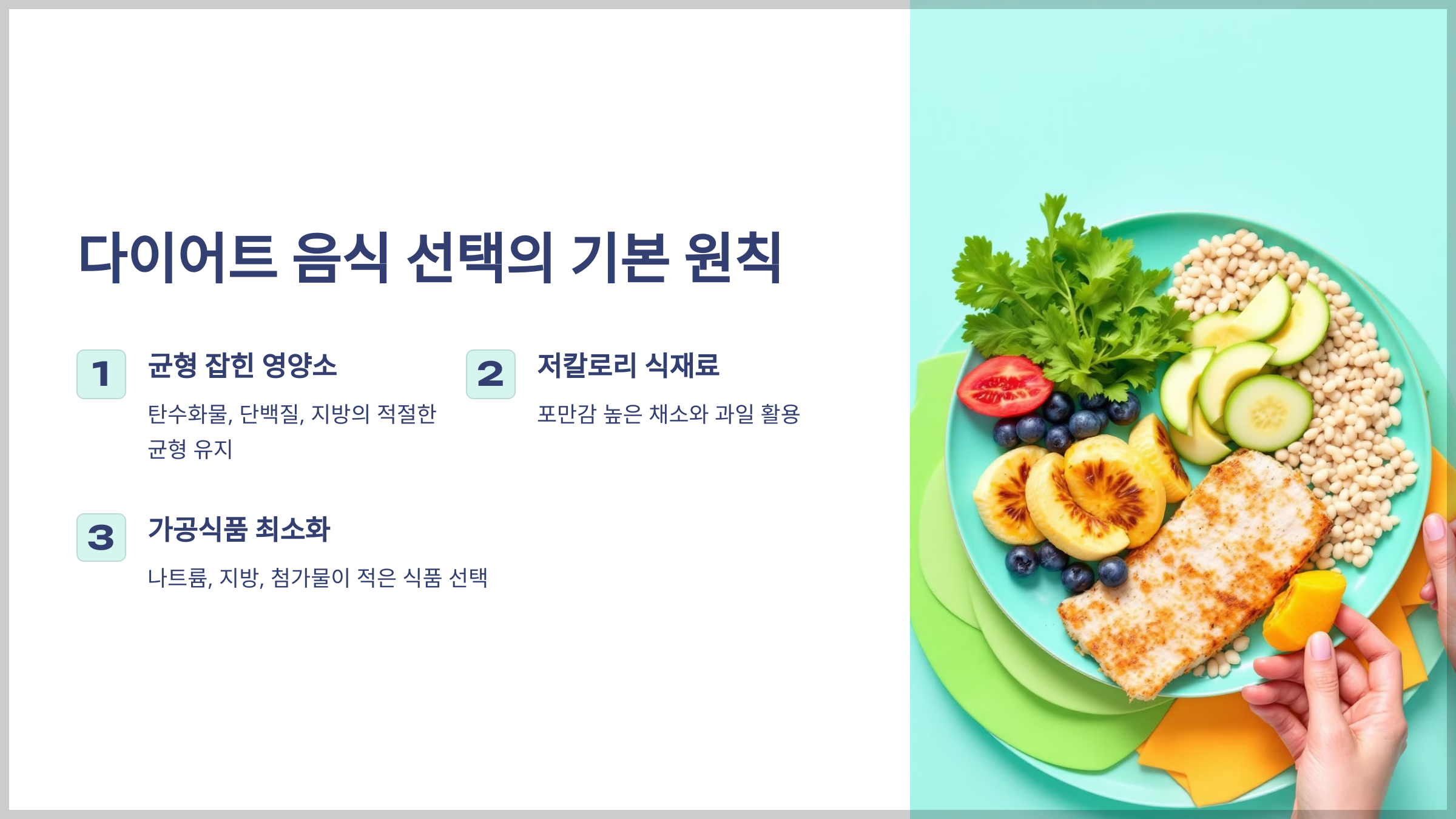 다이어트 음식 정보