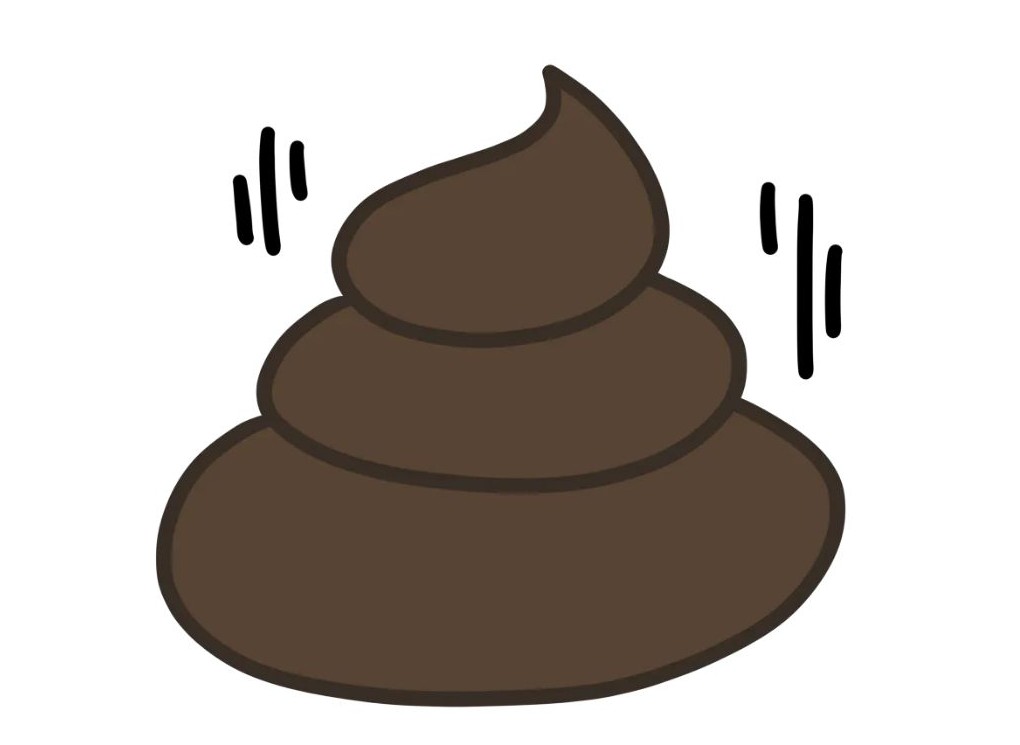 똥 이미지