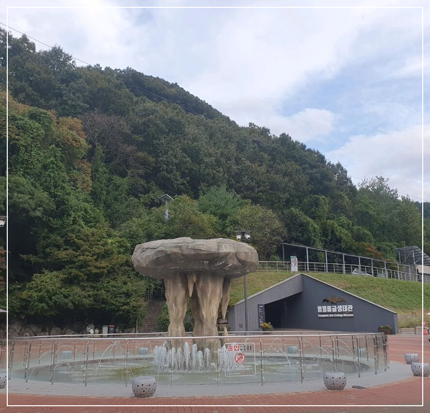 영월 가볼만한곳 베스트10 고씨동굴