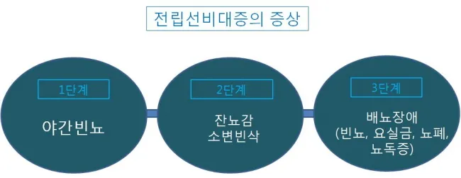 전립선비대증 치료