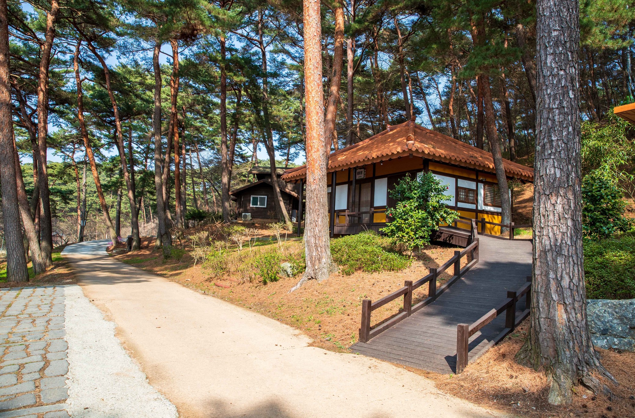 태안-안면도-가볼만한-곳-안면도-자연휴양림