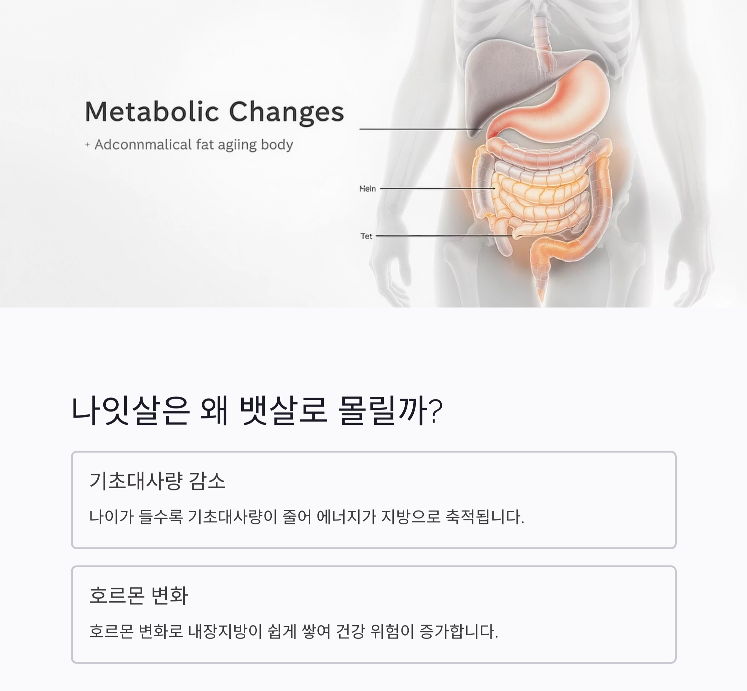 뱃살 줄이려면 이것부터! 시니어 복부비만 해결 운동법 공개