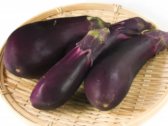 가지 나물