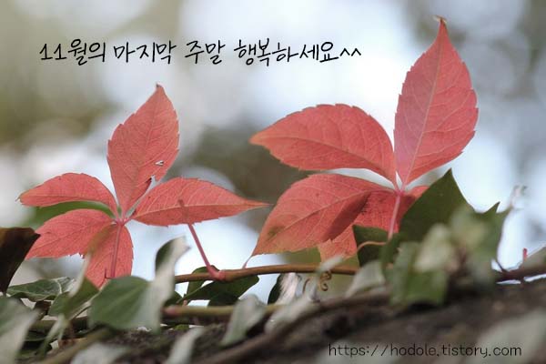 행봌