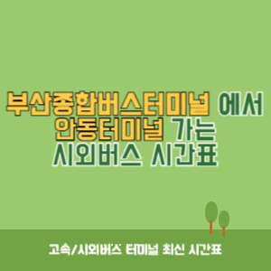 부산종합버스터미널에서 안동터미널 가는 시외버스 시간표 최신정보