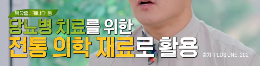 링곤베리