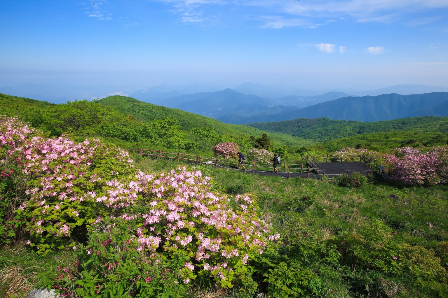 충북 단양 ‘소백산 천동계곡’ 청량한 하루 🌿