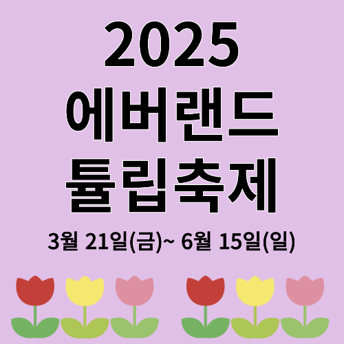 2025 에버랜드 튤립축제 기간 및 산리오 캐릭터 완벽 가이드