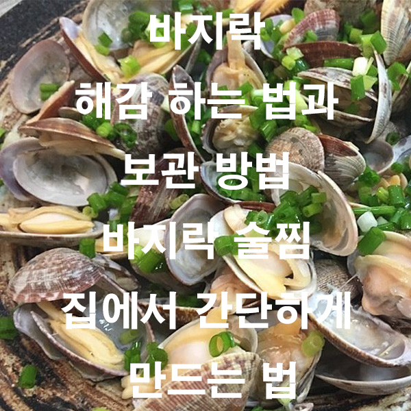 바지락 해감 하는 법과 보관 방법 바지락 술찜 집에서 간단하게 만드는 법