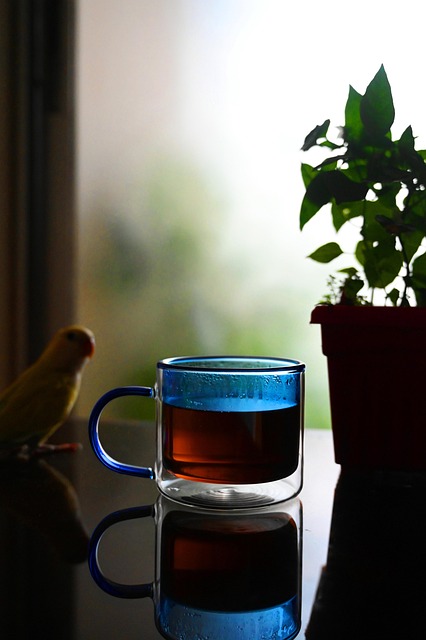 전통차와 한식의 창의적 재해석 가능성