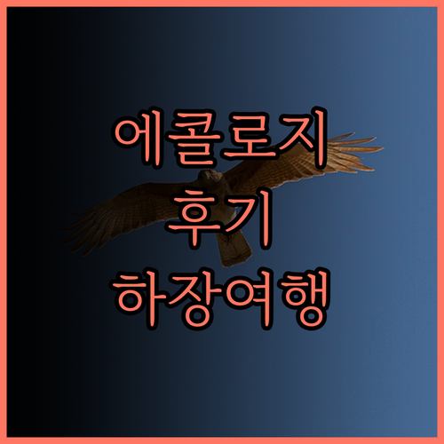 에콜로지 팬 허우 빌리지 숙박 후기