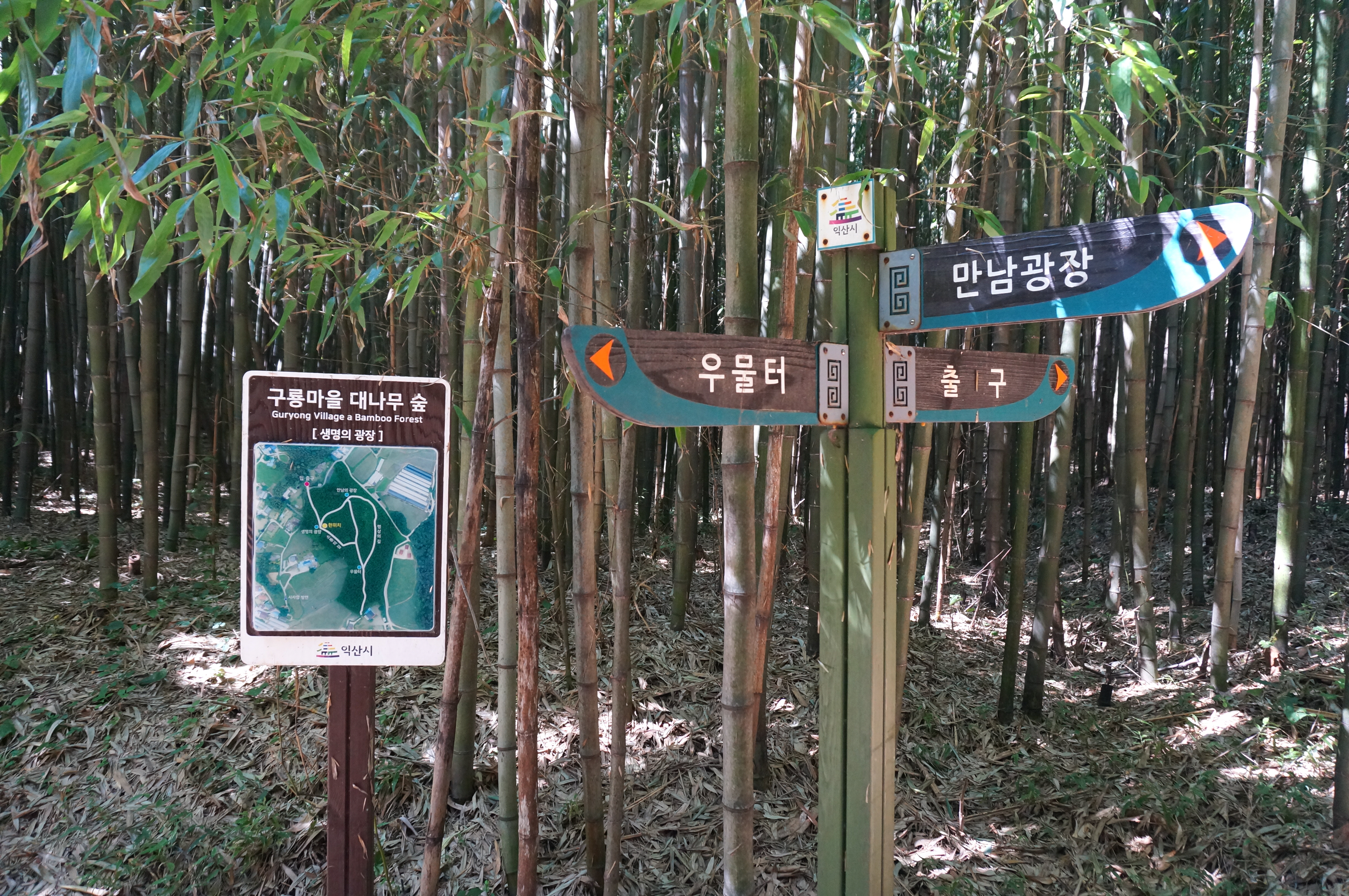 생명의 광장