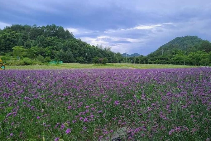 영양 가볼만한곳 베스트 10