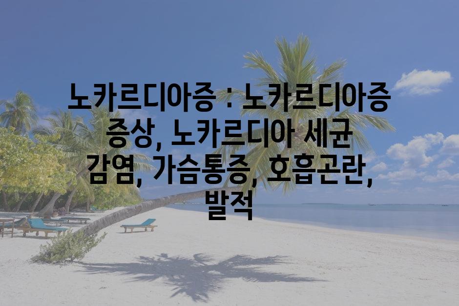샘플 (79)