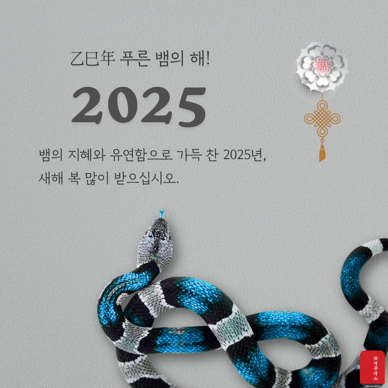 새해 복 많이 받으세요 이미지 캘리그라피
