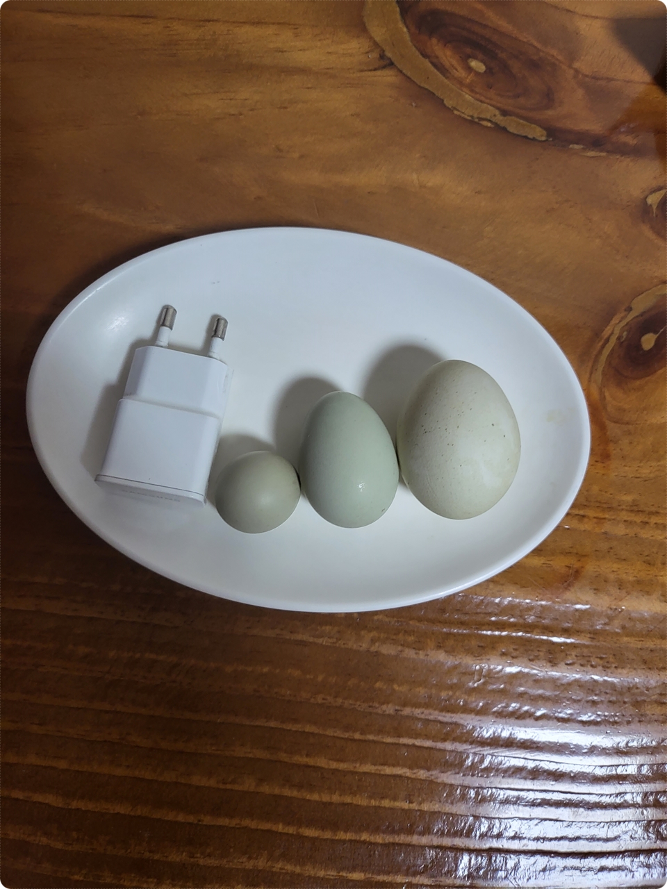 충전기랑 비교