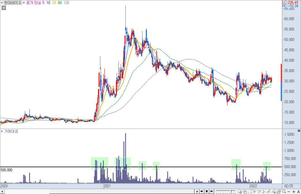 현대바이오 일봉 차트