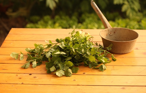 고대 중세 연금술사들이 연구한 생명 연장 비법과 현대 과학의 비교