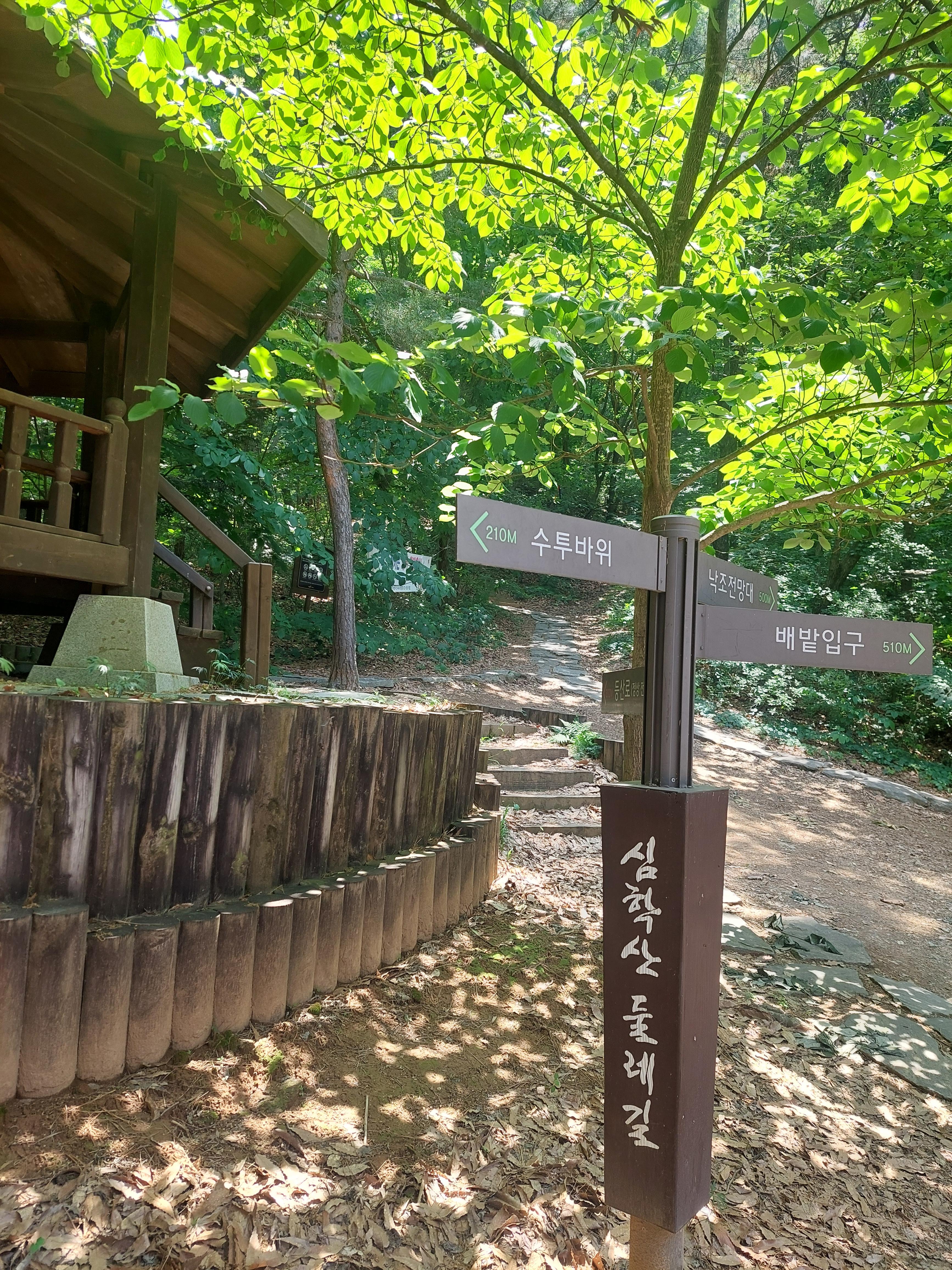 심학산