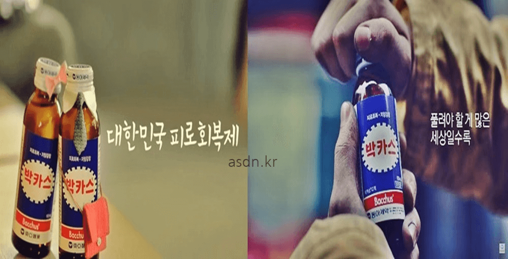 박카스 효능 효과,성분,가격,부작용 총정리