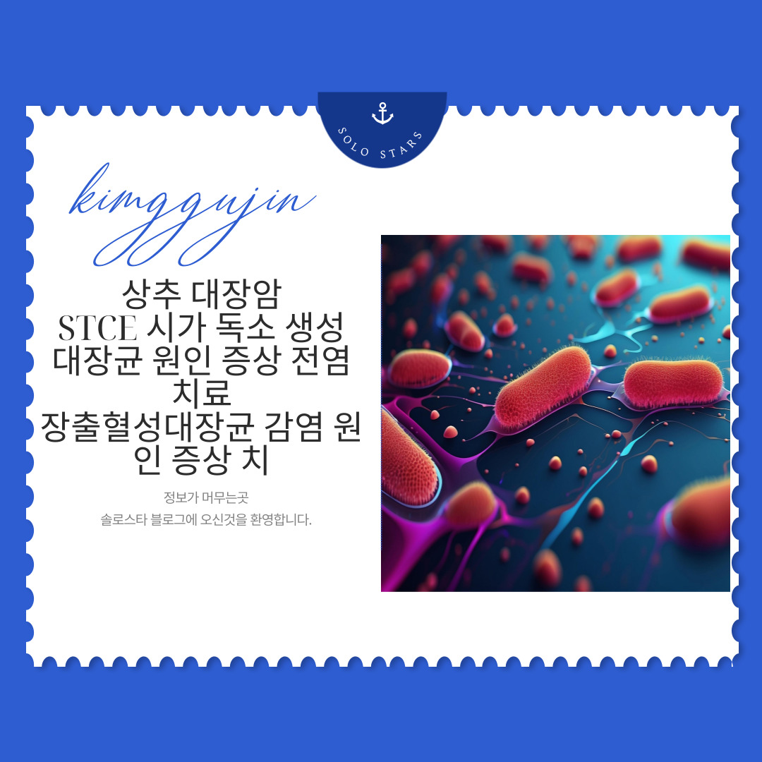 STEC관련 사진