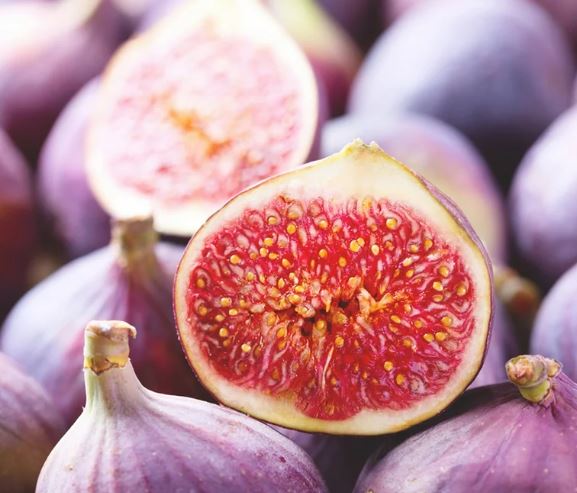 무화과-효능