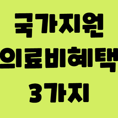 국가지원의료비