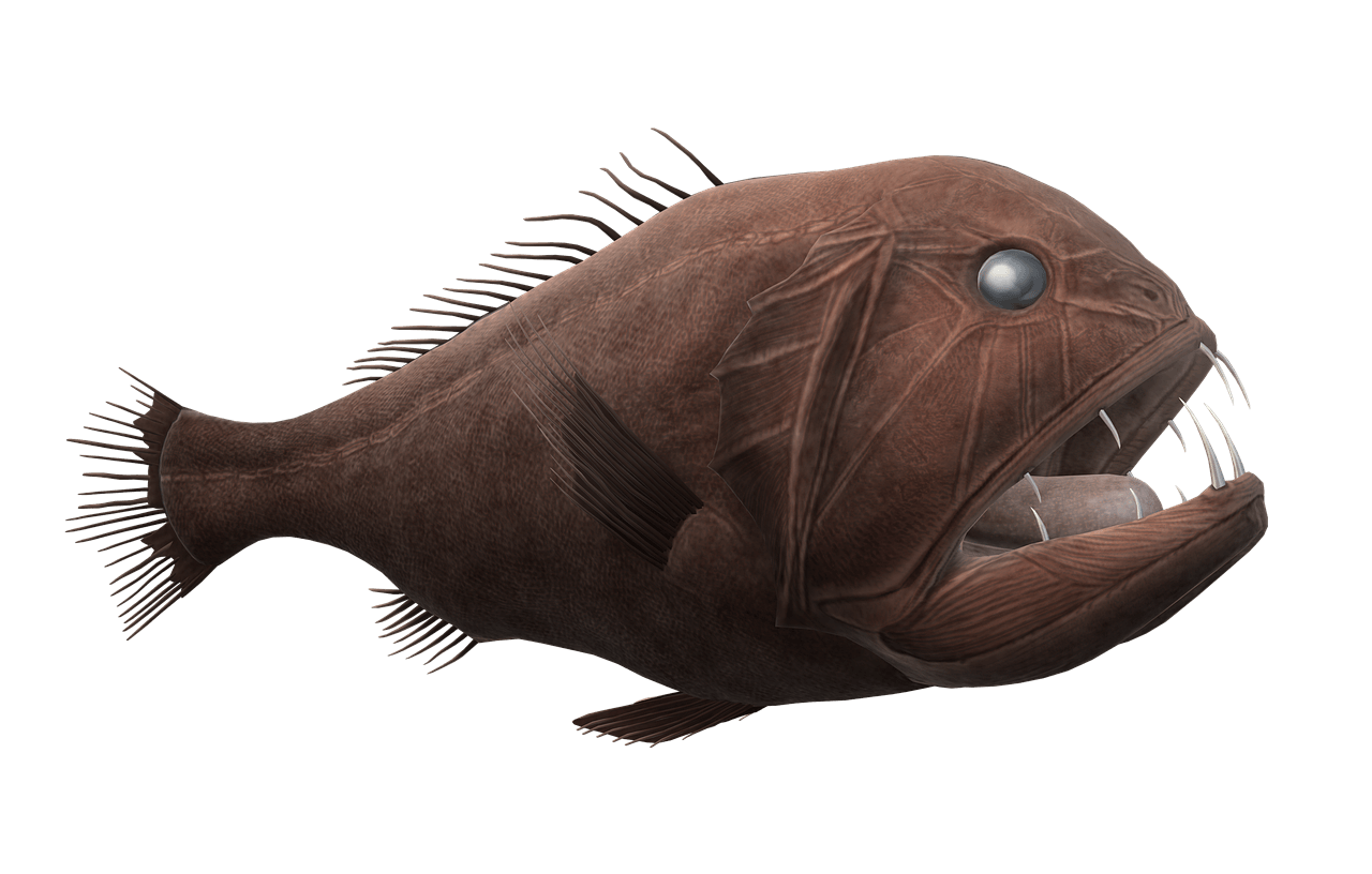 모르겔론스 병, 피부 밑으로 실이 꿈틀거리는 증상을 느끼는 특이질병